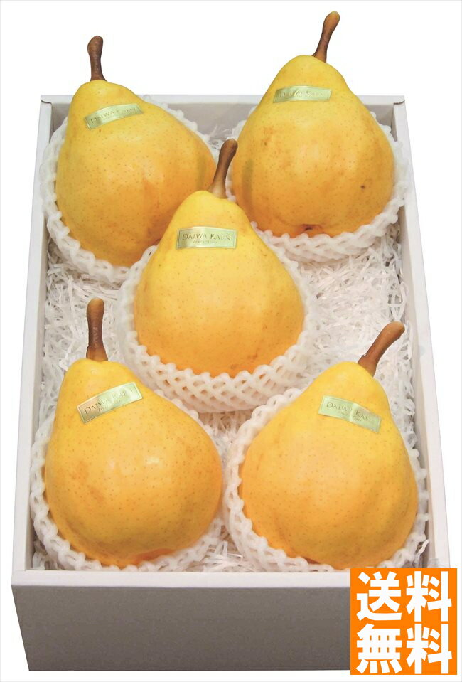 送料無料 新潟産 ルレクチェ ※（注）北海道・沖縄・離島は配達不可 全国送料無料 御歳暮ギフト 早割 お歳暮2024 御見舞 お見舞い お取り寄せ グルメスイーツ