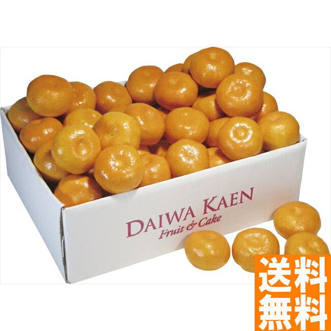 送料無料 ダイワ果園 和歌山県産 有田みかん ※（注）北海道・沖縄・離島は配達不可 全国送料無料 御歳暮ギフト 早割 お歳暮2024 御見舞 お見舞い お取り寄せ グルメスイーツのサムネイル