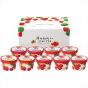 送料無料 博多あまおうのこだわりアイス AH-ABR 全国送料無料 御歳暮ギフト 早割 お歳暮2025 御見舞 お見舞い お取り寄せ グルメスイーツ