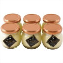 送料無料 十勝ドルチェ 十勝プレミアムプリン TPP-6 全国送料無料 御歳暮ギフト 早割 お歳暮2025 御見舞 お見舞い お取り寄せ グルメスイーツ