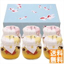 送料無料 京都 養老軒 ゆらり金魚の涼風ゼリー YJ-YR12 全国送料無料 御中元ギフト 早割 お中元2025 御見舞 お見舞い お取り寄せ グルメスイーツ