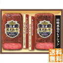 送料無料 伊藤ハム 至福の洋食 田崎真也セレクション 国産黒毛和牛ローストビーフギフト EM-100 全国送料無料 御中元ギフト 早割 お中元2025 御見舞 ...
