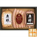 送料無料 鹿野ファーム ギフトセット(彩) YT-302 全国送料無料 御中元ギフト 早割 お中元2025 御見舞 お見舞い お取り寄せ グルメスイーツ