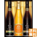 送料無料 AGF ちょっと贅沢な珈琲店アイスプレミアムアソートギフト LBA-30 全国送料無料 御中元ギフト 早割 お中元2025 御見舞 お見舞い お取り寄せ グルメスイーツ
