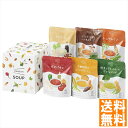 送料無料 IZAMESHI SOUP セット 652-680 全国送料無料 御中元ギフト 早割 お中元2025 御見舞 お見舞い お取り寄せ グルメスイーツ