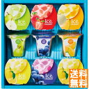 送料無料 ひととえ 凍らせて食べるアイスデザート~国産フルーツ入り~ IDE-20 全国送料無料 御中元ギフト 早割 お中元2025 御見舞 お見舞い お取り寄せ グルメスイーツ