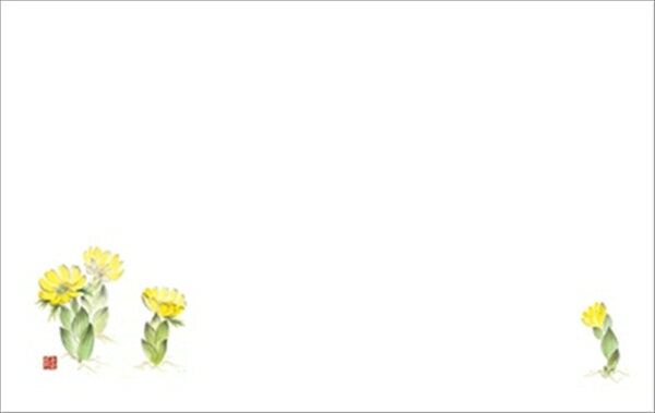 テーブルマット尺3＃229　福寿草 ◆ご注文単位：1冊（100枚入） 業務用 キッチン用品 厨房用品 食器 居酒屋 おしゃれ食器 創作料理