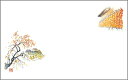テーブルマット尺3#264 つるし柿 ◆ご注文単位:1冊(100枚入) 業務用 キッチン用品 厨房用品 食器 居酒屋 おしゃれ食器 創作料理