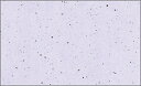 0396尺3 山里うすふじいろ ◆ご注文単位:1冊(100枚入) 業務用 キッチン用品 厨房用品 食器 居酒屋 おしゃれ食器 創作料理