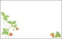0378尺3 いちご ◆ご注文単位:1冊(100枚入) 業務用 キッチン用品 厨房用品 食器 居酒屋 おしゃれ食器 創作料理
