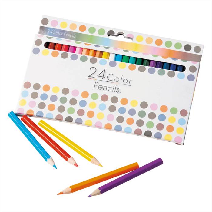 24顼ڥ󥷥  ˤ   ǰ лˤ ץ쥼 ˤ ƶ ʪ