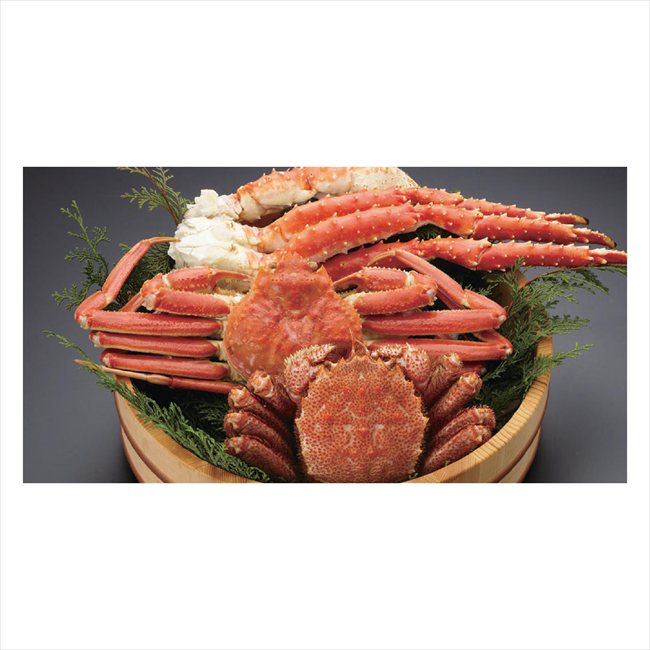 �����̳����Ť���200 7432 ���� ��ǰ�� ���� �Υ٥�ƥ� ̾���� �氧�� ������