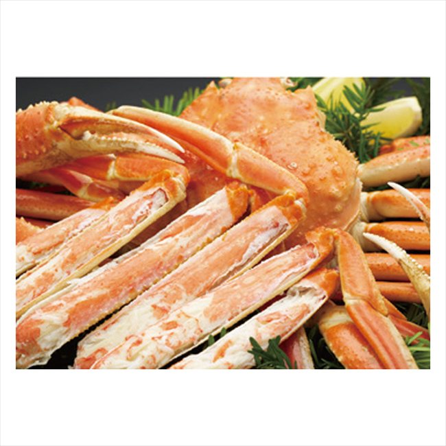 �ܥ��뤺�襤���˻�3��(50) 500*3 ���� ��ǰ�� ���� �Υ٥�ƥ� ̾���� �氧�� ������