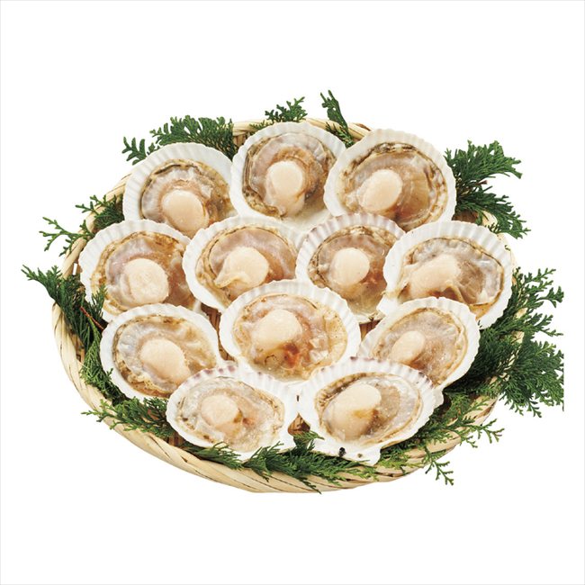 �̳�ƻ�Τۤ��Ƴ�L12�� L12 ���� ��ǰ�� ���� �Υ٥�ƥ� ̾���� �氧�� ������