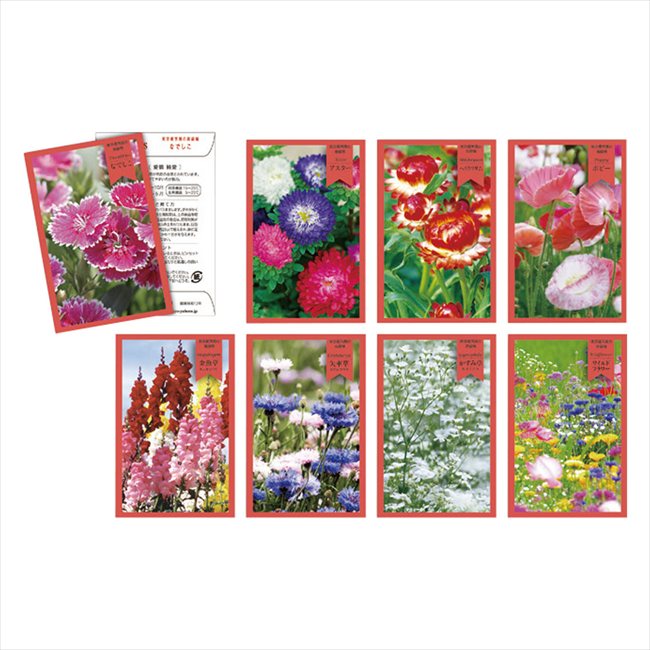 thank you seed �ʲ֡� �����Բ� ���� ��ǰ�� ���� �Υ٥�ƥ� ̾���� �氧�� ������