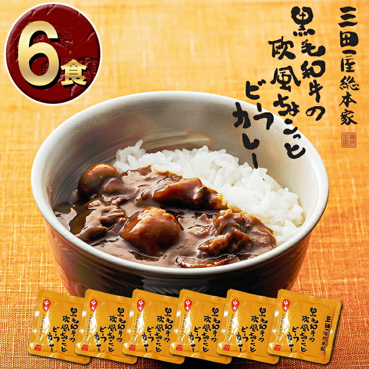 楽天セントラルマーケット三田屋総本家 黒毛和牛の欧風ちょこっとビーフカレー 6食 セット レトルトカレー お茶碗 本格派 ビーフカレー お試し レトルト食品 レトルト SANDAYA 長期保存 非常食 常備食 買い回り 買いまわり [Y3C]【ゆうパケットなら送料無料】