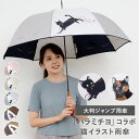 雨傘 レディース 長傘 大判 ジャンプ ハラミチヨ イラスト 作家 【ハラミチヨ 猫イラストプリント 大判 ジャンプ アンブレラ】雨傘 レディース 長傘 大判 大きい 大きめ ジャンプ傘 ジャンプ 雨傘 梅雨
