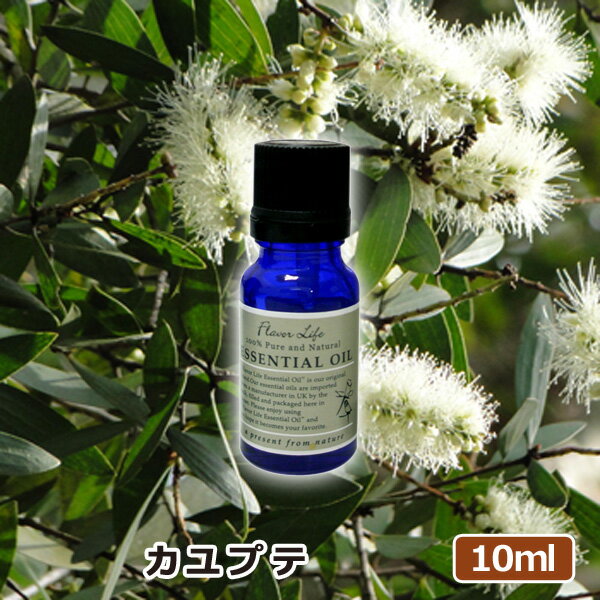 ▽内容エッセンシャルオイル(10ml)×1▽精油名カユプテ▽香りの系統 樹木系/すがすがしい木々の香り▽原産地ベトナム▽抽出方法・抽出部位水蒸気蒸留・葉、小枝▽ブランドフレーバーライフ※フレーバーライフ社は、社団法人 日本アロマ環境協会(AEAJ)の法人会員です。取り扱う精油はすべてAEAJ表示基準適合認定精油となっております。※内容・原産地・デザインなど変更になる場合があります。※3,980円以上で送料無料(沖縄・一部地域除く）※のし・ラッピング・メッセージカード等のギフト対応不可ギフト対応メーカー希望小売価格はメーカーカタログに基づいて掲載しています【アロマオイル基礎知識】▽アロマオイル 香り7系統柑橘系,フローラル系,エキゾチック系,樹脂系,スパイス系,樹木系,ハーブ系▽香りの持続性の種類・トップノート揮発速度が早く、ブレンドしたときに1番最初に香ります。 ・ミドルノートトップノートの次に立ち上がってくる香り。ブレンドした時は、全体的な香りの印象を決める重要な中心的香りとなります。・ベースノート揮発速度が遅く、時間がたつとほのかに香ってきて、数時間香りが持続します。▽アロマ 使用用途眠れない,元気が無いとき,落ち込んでいるとき,イライラするときに,集中できないとき,疲れがとれない.etc▽アロマ 利用シーンバスタイム,オフィス,デスク,寝室,リビング,トイレ,クローゼット,玄関,車,携帯用.etc