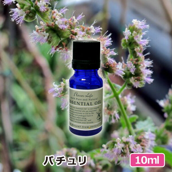 ▽内容エッセンシャルオイル(10ml)×1▽精油名パチュリ(パチュリー)▽香りの系統エキゾチック系/深みと甘みのある魅惑的な香り▽香りの持続性ベースノート▽原産地インドネシア▽抽出方法・抽出部位水蒸気蒸留・葉▽ブランドフレーバーライフ※フレ...