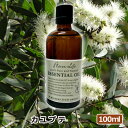 t[o[Ct GbZVIC Jve 100ml {A}\KF萸 i A}IC  lC A}es[  t[o[Ct FlavorLife)  A}ObY