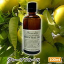 t[o[Ct GbZVIC O[vt[c 100ml {A}\KF萸 i A}IC  lC A}es[  t[o[Ct FlavorLife)  A}ObY
