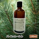 t[o[Ct GbZVIC pCj[h 100ml {A}\KF萸 i A}IC  lC A}es[  t[o[Ct FlavorLife)  A}ObY