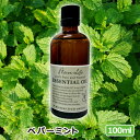t[o[Ct GbZVIC yp[~g 100ml {A}\KF萸 i A}IC  lC A}es[  t[o[Ct FlavorLife)  A}ObY