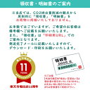 10%OFF 割引き+ポイント5倍セール商品 ギフト対応不可 ケンコー プラネタリウム スターサテライト 回転式 #147099 地球儀 記念品 イベント パーティ プレゼント 景品 粗品 賞品 ノベルティ 3