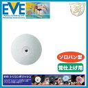 EVE(イブ)シリコンポリッシュ Coarse # L22