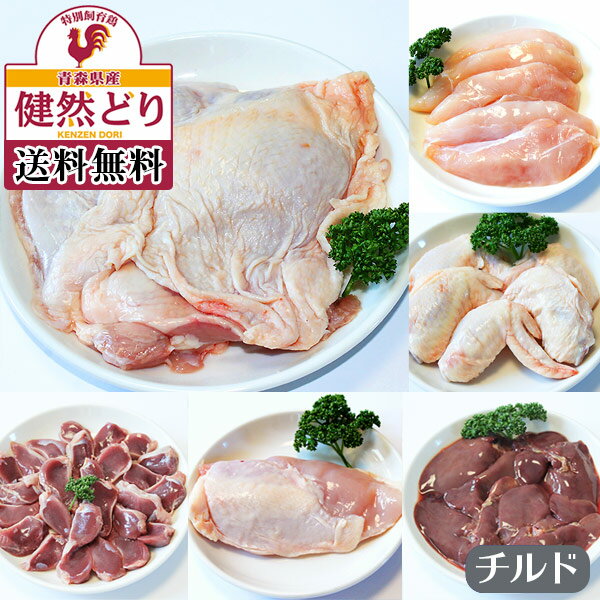 “健然どり”チルドセット 送料無料 むね肉・もも肉・筋切りササミ・手羽元・手羽先・骨付きモモ・砂肝・レバーから5品選べる！※8種類からお好きな5品を選択 冷蔵