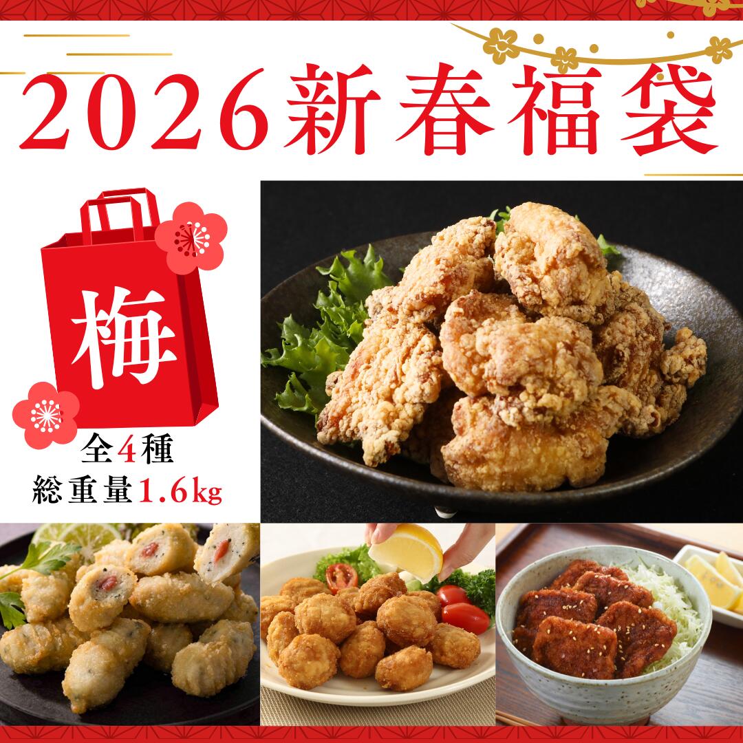 【100円オフクーポン】2026新春福袋(梅) 送料無料 全4品 総重量1,600g 冷凍 おかず 弁当 おすすめ 人気 福袋 お得 （セット内容：生姜香る唐揚げ、梅しそささみ、やみつき唐揚げ、福井ソースカツ風チキンカツ) 福袋 4種