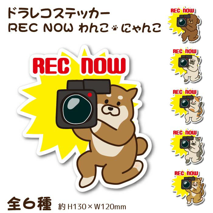 ドラレコ ステッカー わんこ にゃんこ 130×120mm REC NOW 犬 猫 イラスト かわいい ペット ドライブレコーダー あおり運転防止 セーフティーサイン 録画中 柴犬 プードル パグ 三毛猫 キジトラ