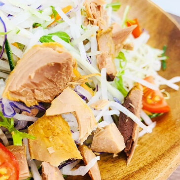 かつおスティック(塩レモン味) 内容量40g BONITO BAR カツオ 鰹 かつお スティック 塩 しお レモン 檸檬 おつまみ 高知 お土産 ダイエット 筋トレ プロテイン DHA EPA 健康 特産品