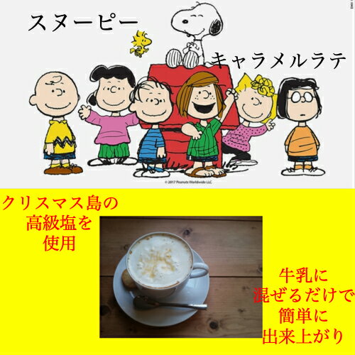 【スヌーピー】PEANUTS coffee 塩 キャラメル ラテ 2P コーヒー カフェ おしゃれ かわいい ギフト プレゼント 贈り物 贈答 誕生日 母の日 プチ 愛知 お土産 特産品