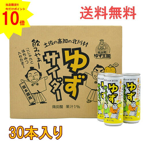 ポイント10倍【 お買い物マラソン 限定♪9日20時～16日1時59分まで】 北川村ゆず王国 ゆずサイダー30本 1ケース 入り （内容量250ml） 送料無料 御中元 ジュース じゅーす ゆず 柚子 炭酸 サイダー 高知 贈答 プレゼント 贈り物 ギフト 缶 お中元 微炭酸 お中元