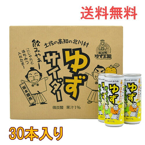 北川村ゆず王国 ゆずサイダー30本 1ケース 入り （内容量250ml） 送料無料 御中元 ジュース じゅーす ゆず 柚子 炭酸 サイダー 高知 贈答 プレゼント 贈り物 ギフト 缶 お中元 微炭酸 お中元の商品画像