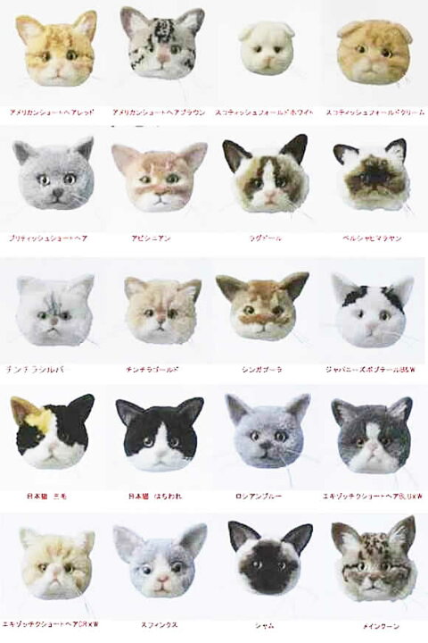 すべての動物画像 ユニーク動物 ぽんぽん 猫