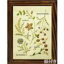 ルシアン 刺しゅうを楽しむプリントクロス Artist Collection アトリエ ド ノラ  小さな花のサンプラー (アイボリー)額付き フランス刺繍