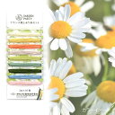 GARDEN PARTY(ガーデンパーティー) フランス刺しゅう糸セット GP-C3 ハーブ(3)