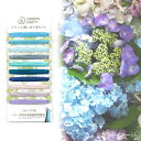 GARDEN PARTY(ガーデンパーティー) フランス刺しゅう糸セット GP-C8 アクア
