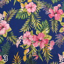 キャシー中島(キャシーマム)ハワイアン生地IslandStyleKathyMom レアカヒコ3BL(30cm以上10cm単位)(3)
