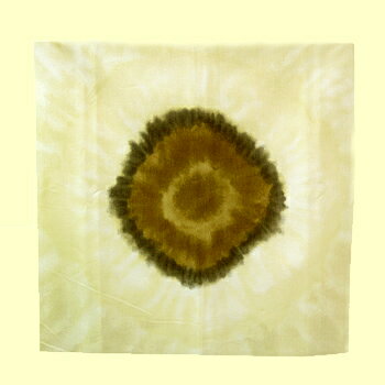 サークルパレット　Lサイズ　＃19