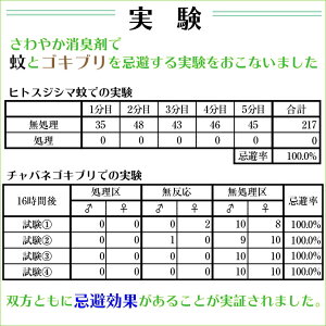 さわやか実験