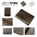 Brioni ブリオーニ パスポートケース PASSPORT ホルダー カードケース レザー ロゴ イタリア製 新品 ★ 2014 COFFEE L646..
