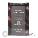 ナリス エクメール サロニスト ヘアカラー 2B ナチュラルブラウン 国内正規品