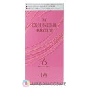 アイビー化粧品 カラー オン カラー ヘアカラー 6 100g(1剤50g・2剤50g) IVY ivy(4)