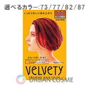 ナリス化粧品 ベルベッティ クリエイティブヘアカラー 選べる4色:73(明るい栗色)/77(自然な栗色)/82(濃い栗色)/87(自然な褐色) 白髪染め ヘアカラートリートメント しっかり染まる 色持ち 長持ち自宅 人気 おすすめ