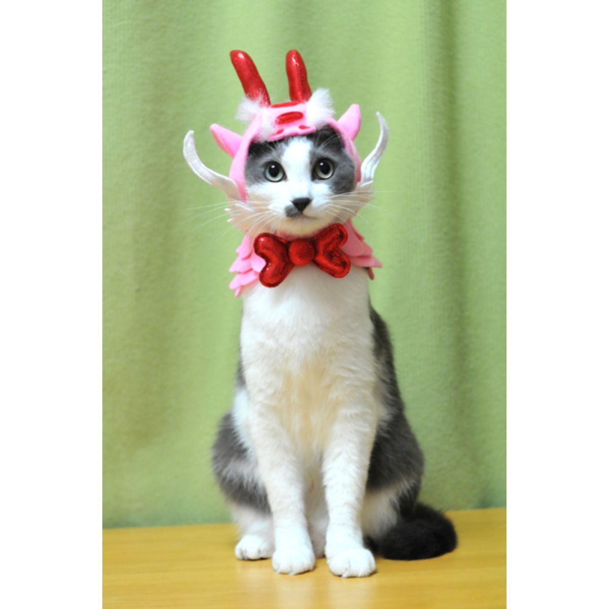 愛猫の服 キャットプリン 燃えるピンクドラゴン...の紹介画像2