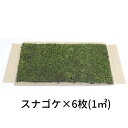 生きてる乾燥苔 スナゴケ 280×580mm　6枚入り（1平方メートル）庭園 造園 盆栽 こけ コケ 苔玉 ジオラマ テラリウム コケリウム 壁面 屋上緑化 インテリア グリーン モスパネル モスウォール 花材 苔好き ワークショップ サステナブル 持続可能 その1