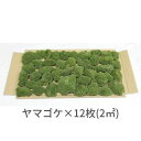 【ゴーゴーセール】生きてる乾燥苔 ヤマゴケ 2平方メートル用 (280×580mm 12枚入り)庭園 造園 盆栽 こけ コケ 苔玉 ジオラマ テラリウム コケリウム 壁面 屋上緑化 インテリア グリーン モスパネル モスウォール 花材